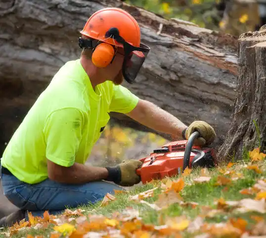 tree services Watkins